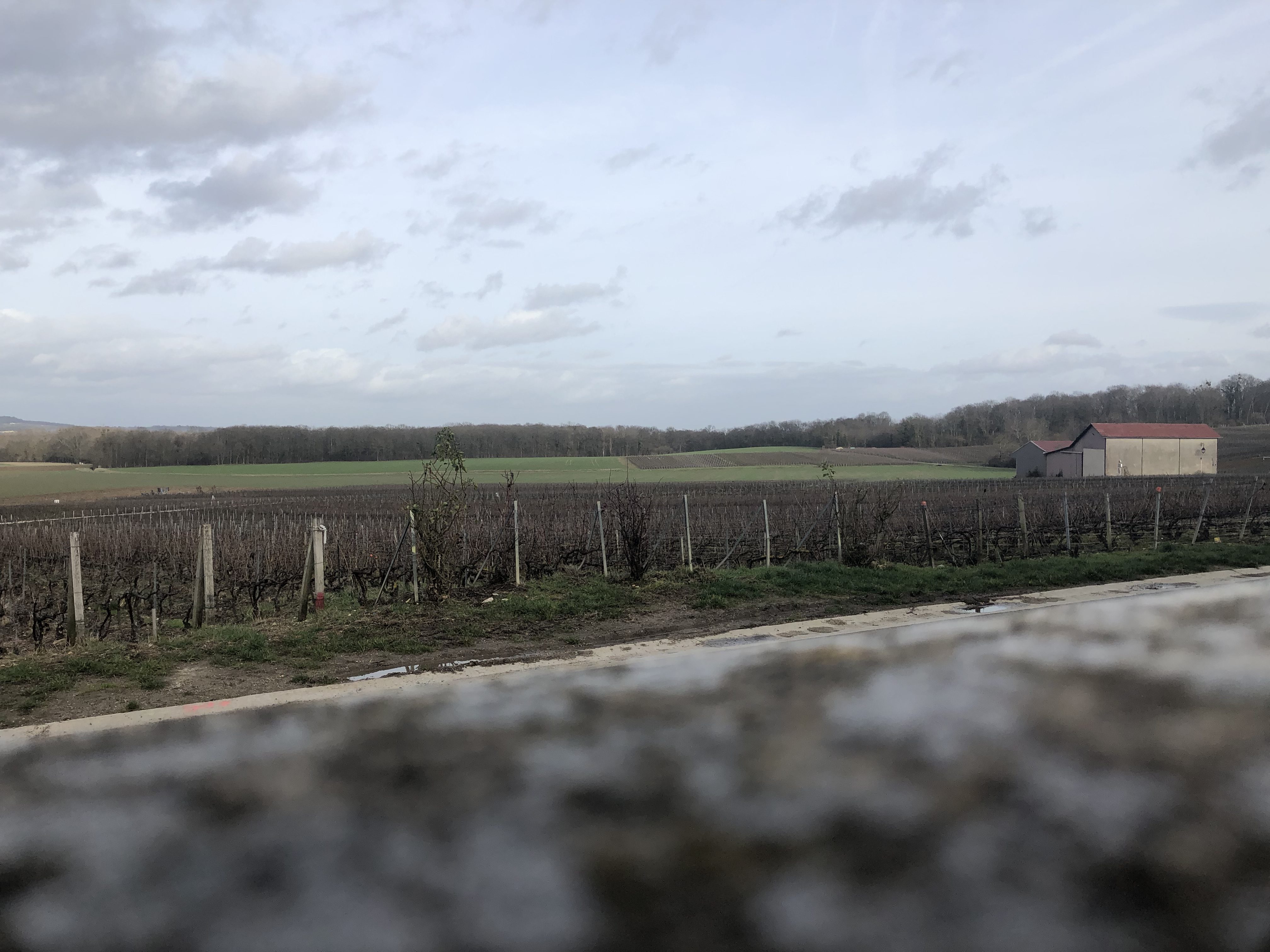 Producer : Lamblot , Champagne FRANCE