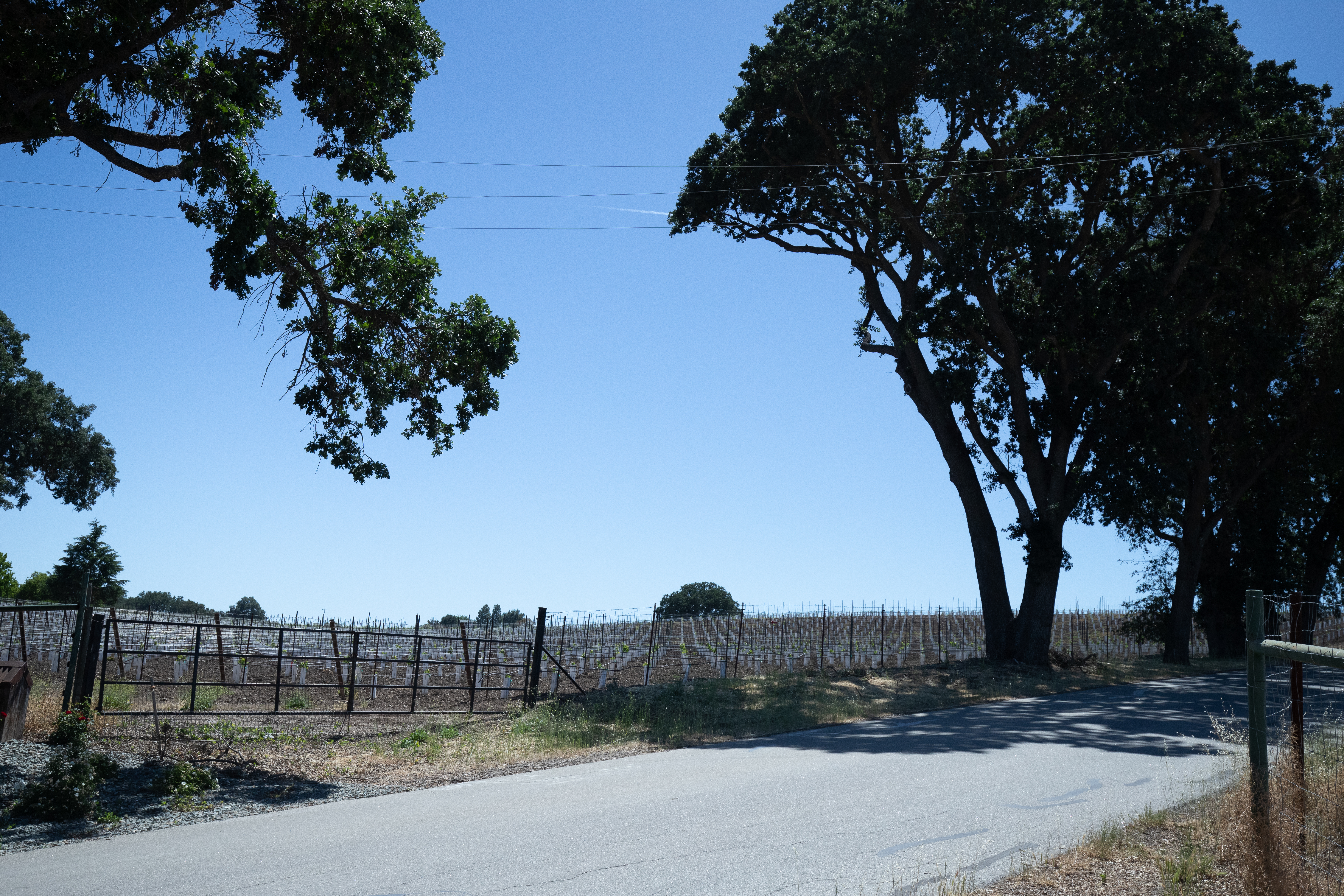 Producer : Brecon Estate , Paso USA